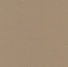 Leder- und Stoffmuster | S10Home